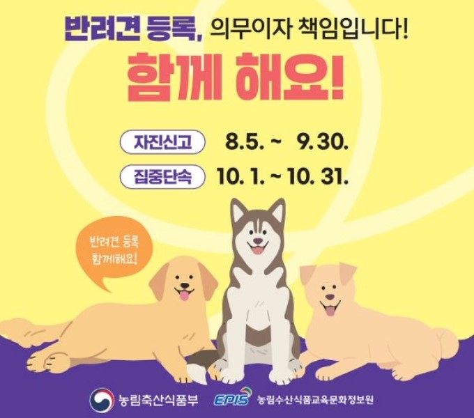 반려견등록 의무이자 책임입니다
함께 해요!
자진신고 8.5. ~ 9.30.
집중단속 10.1. ~ 10.31.