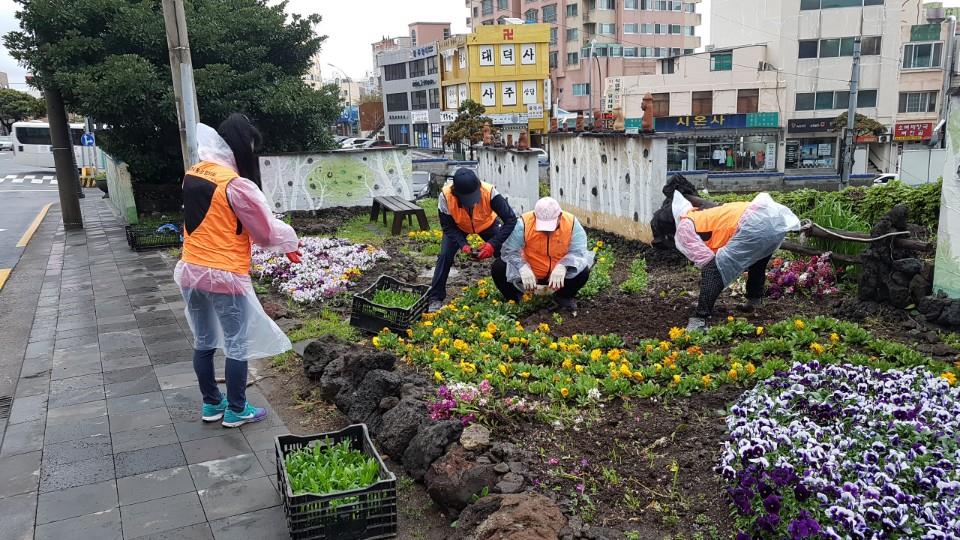 통장협의회 사계절 꽃피는 마을만들기 화단 조성 첨부이미지