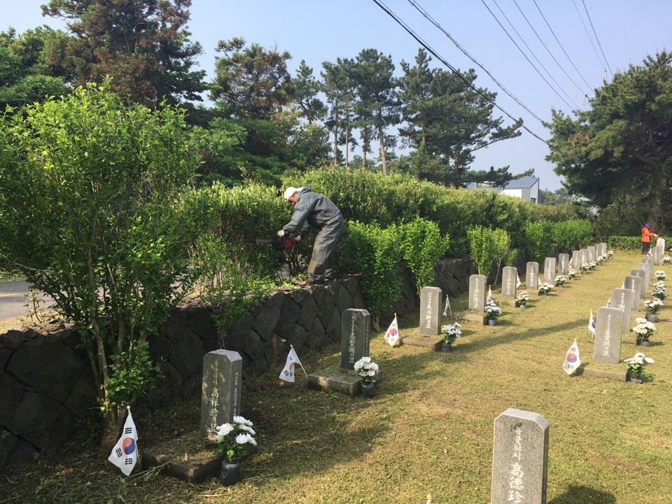 구좌읍, 충혼묘지 환경정비 실시 첨부이미지