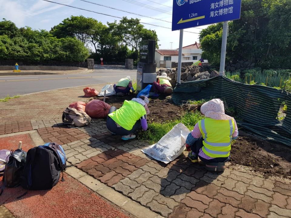 구좌읍, 일주도로변 잡초 제거 작업 첨부이미지