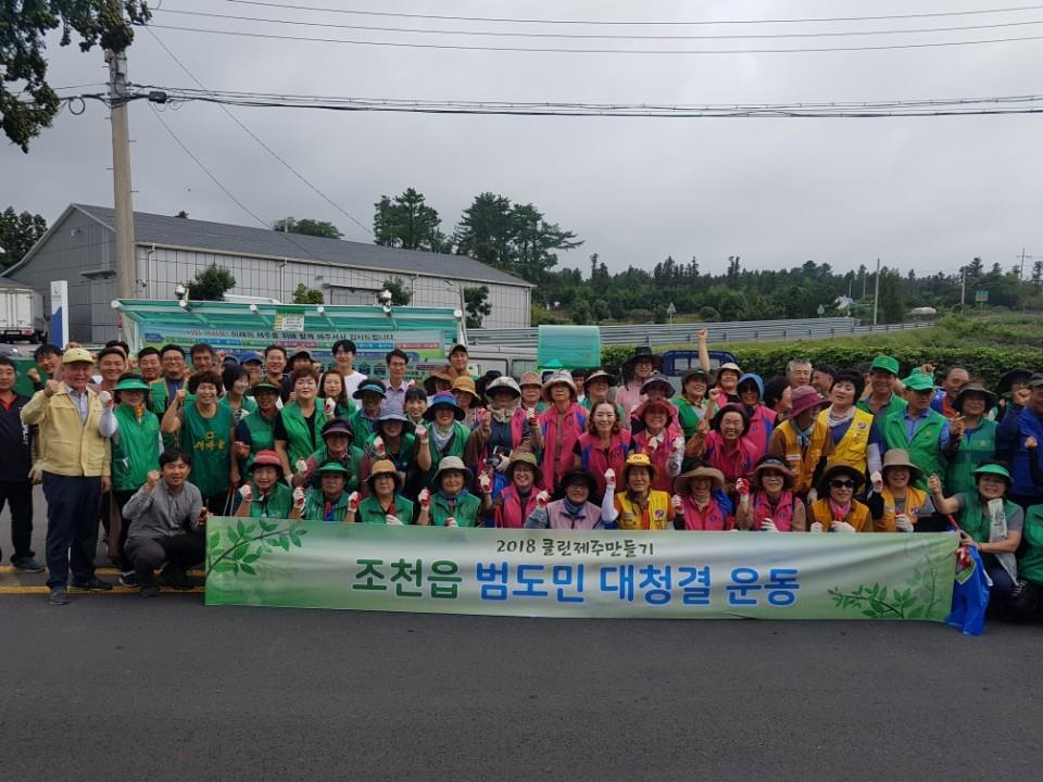 조천읍 추석맞이 범도민 대청결운동 실시 첨부이미지