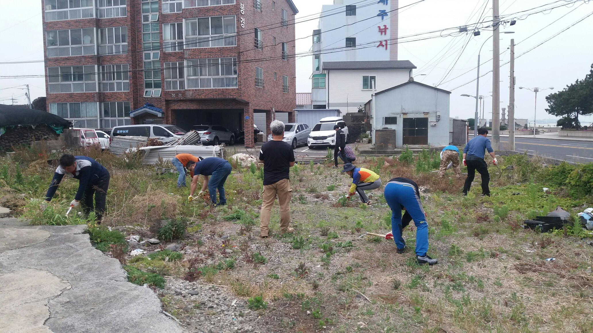 삼도2동연합청년회, 소공원 및 공한지 풀베기 추진 첨부이미지