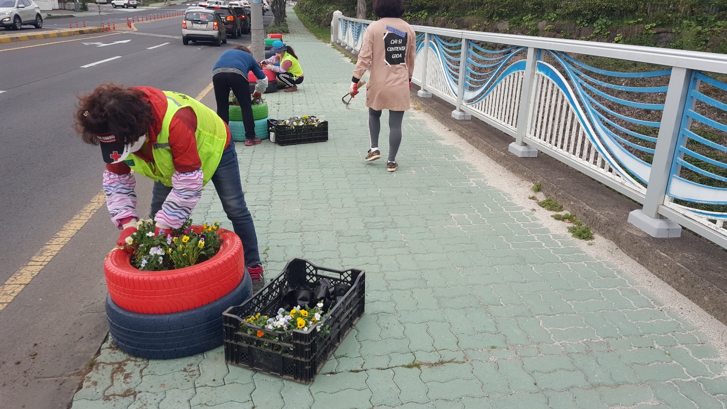 오라동, 폐타이어 활용 새활용(Up-Cycling) 화분에 꽃식재 첨부이미지