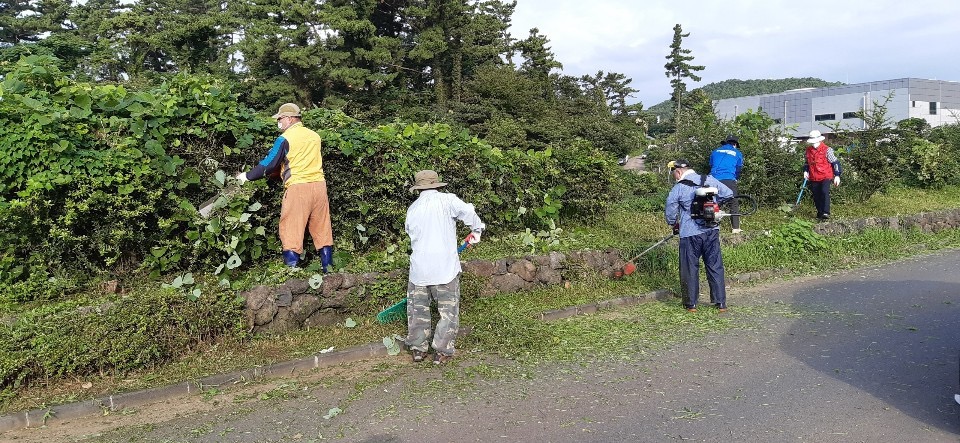 화북동통장협의회, 야외 풀베기 작업 실시 첨부이미지