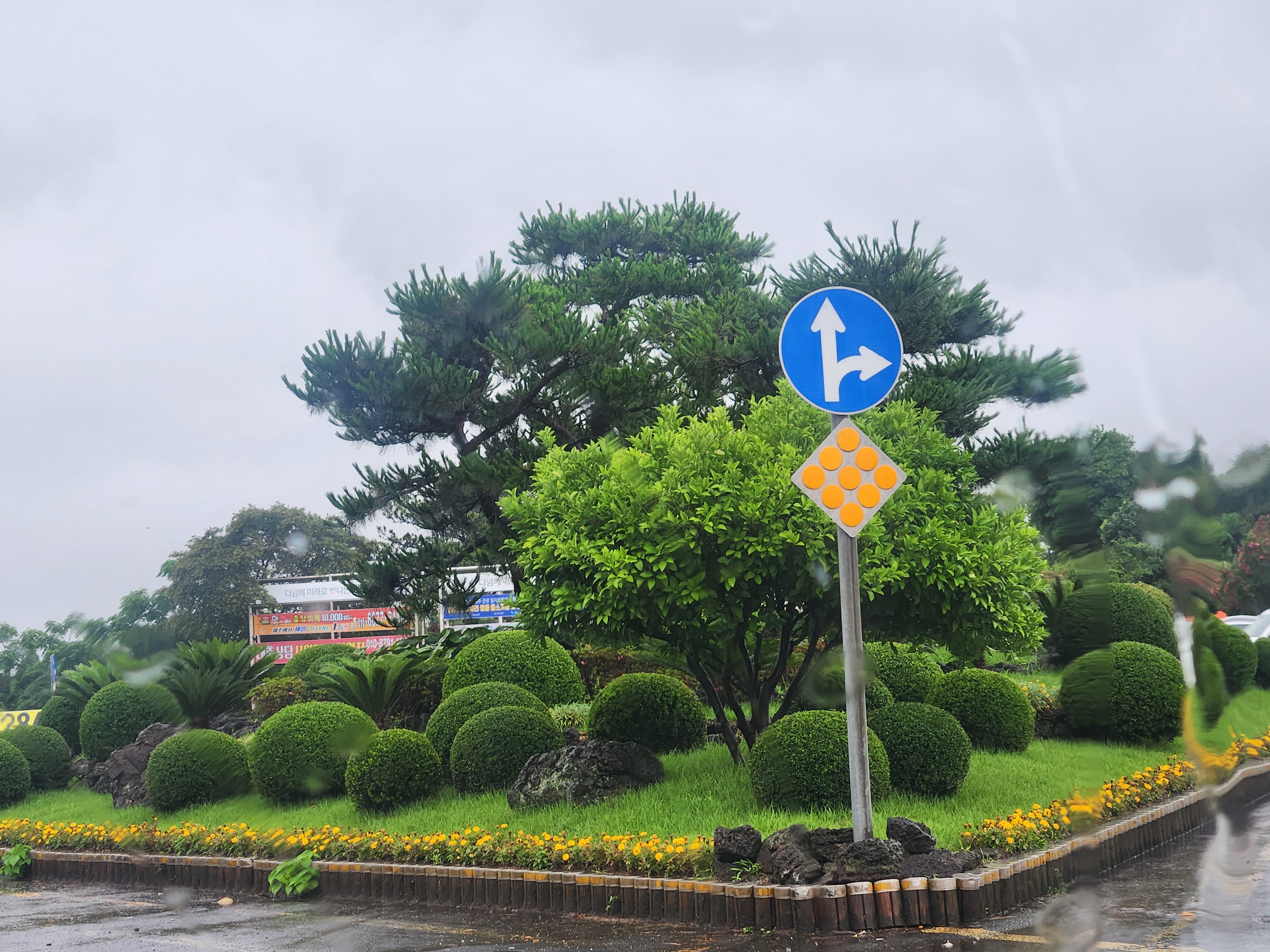 제주공항 근처 화단이 예뻐요 첨부이미지