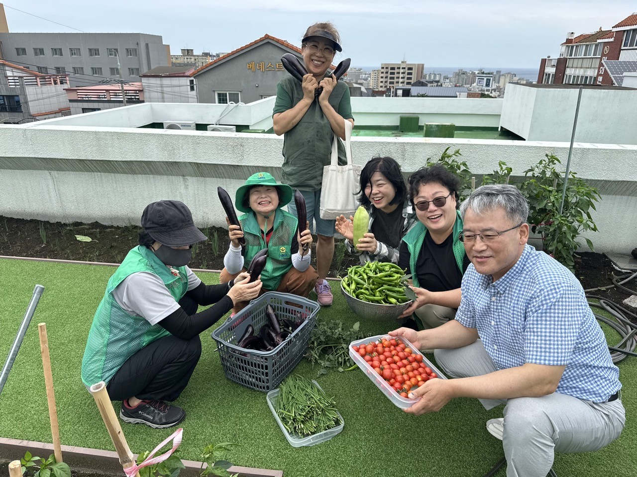 이도1동새마을부녀회, 옥상 텃밭채소 이웃에 나눔 첨부이미지