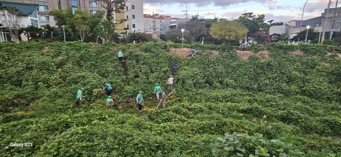 새마을지도자 이도2동협의회, 독사천 덩굴류 제거 등 환경정비 실시 첨부이미지