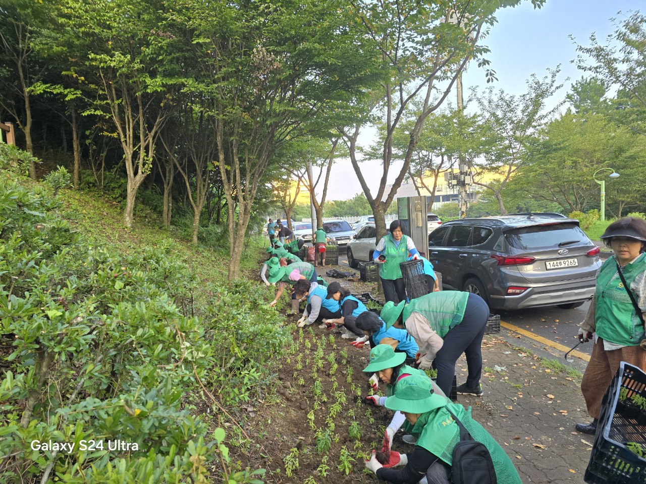 아라동새마을부녀회, 꽃향기 가득한 계절화 식재 첨부이미지