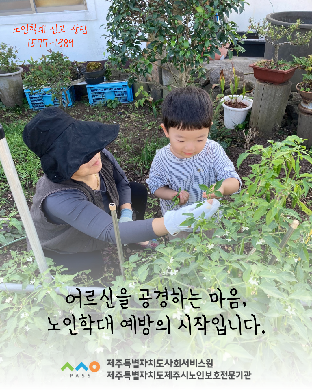 학대피해 어르신을 위한 관심과 사랑을 보내주세요 첨부이미지