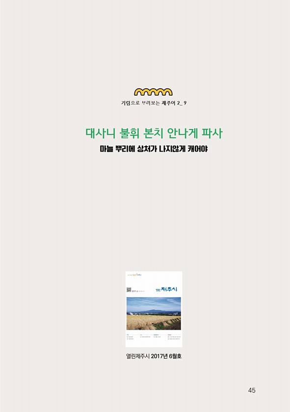 47페이지