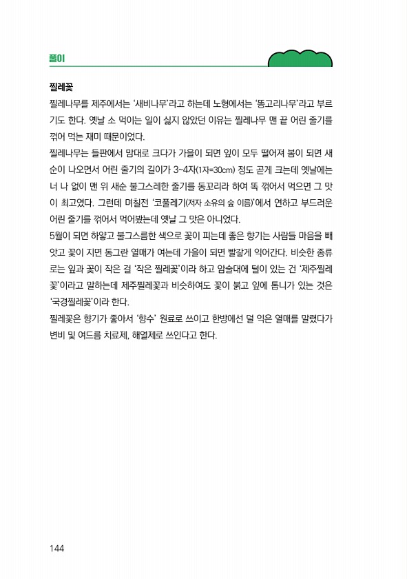 146페이지