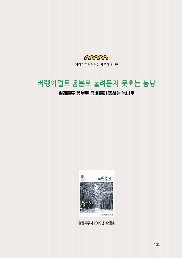 167페이지