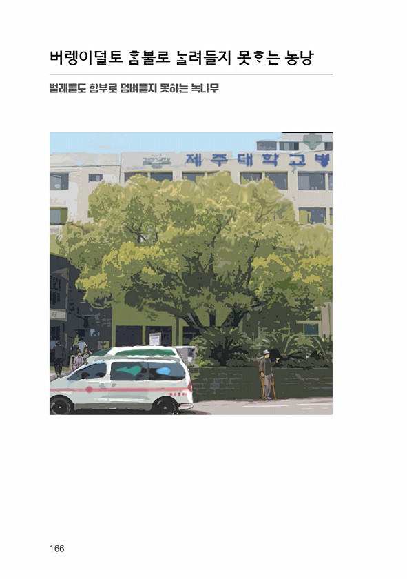 168페이지