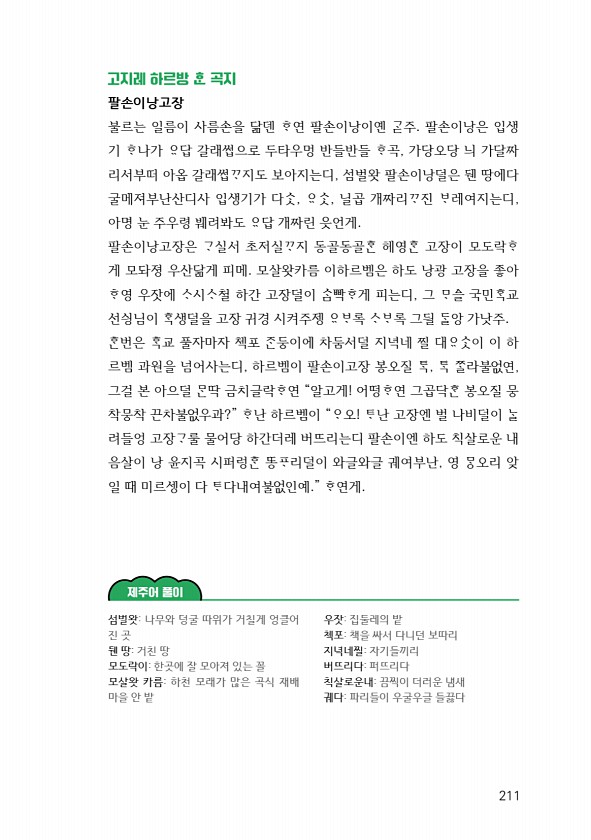 213페이지