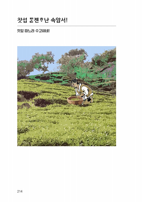 216페이지