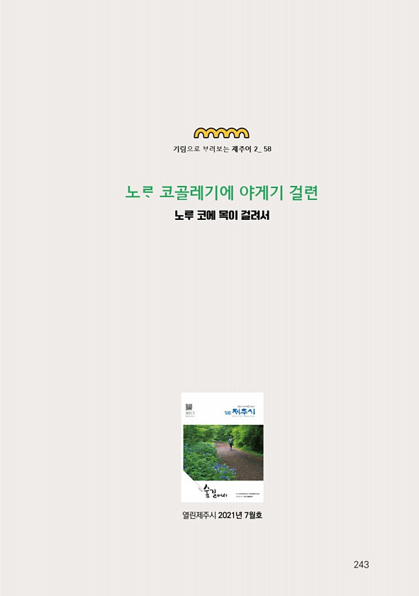 245페이지