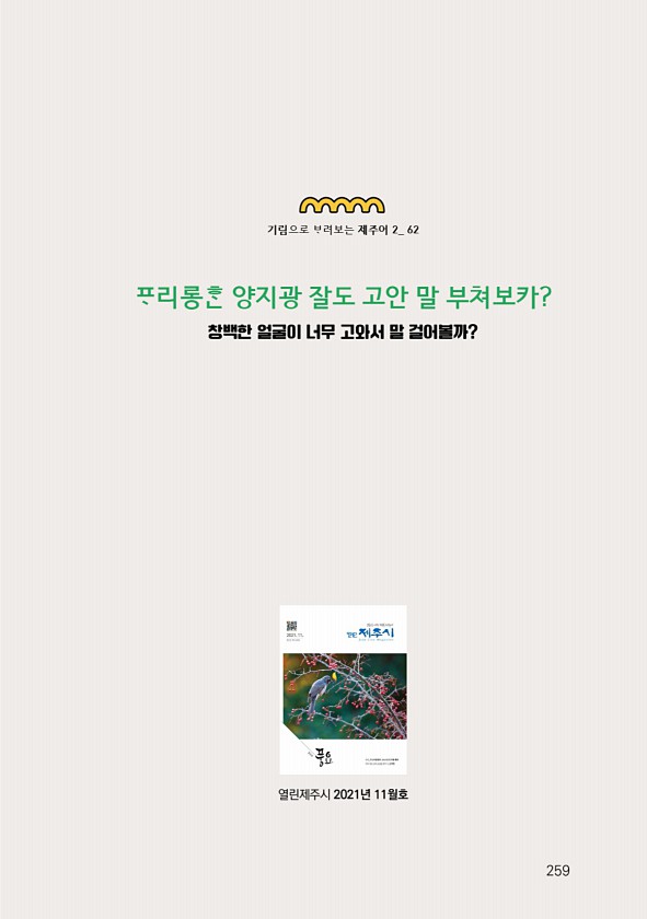 261페이지
