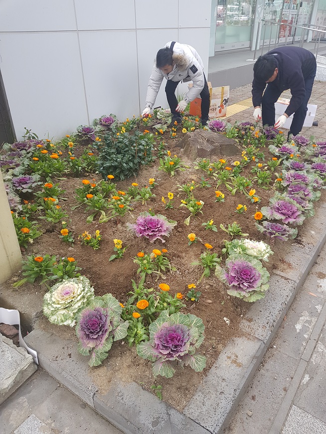 연동주민센터주변 주민맞이 계절꽃 심기 실시 첨부이미지