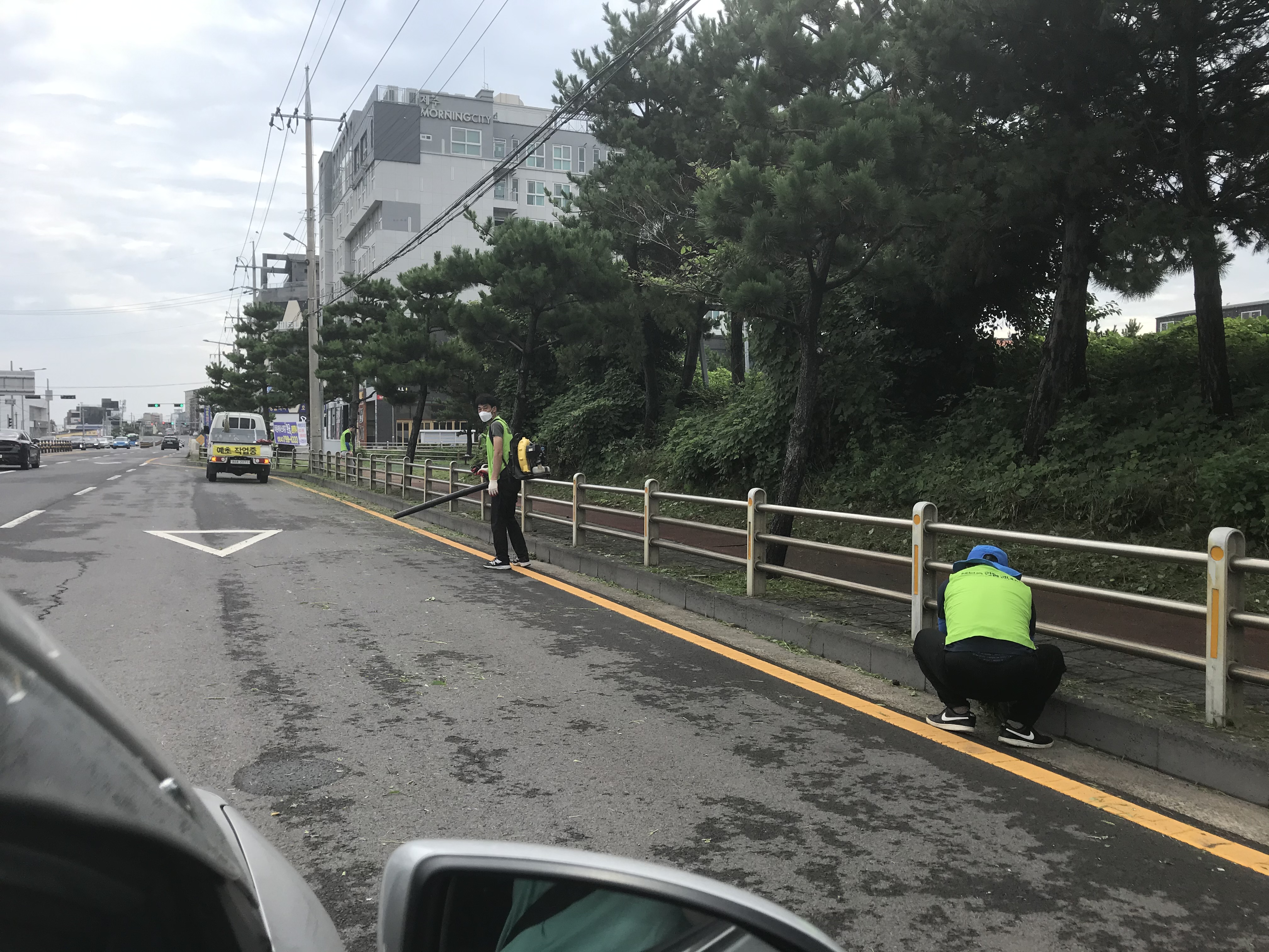 애월읍 연합청년회 하귀~금성 일주도로변 풀베기 첨부이미지