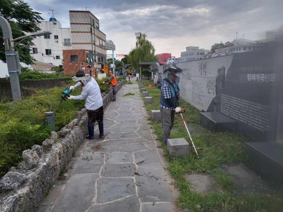 일도1동, 산지천 산책로 일대 풀베기 작업 실시 첨부이미지