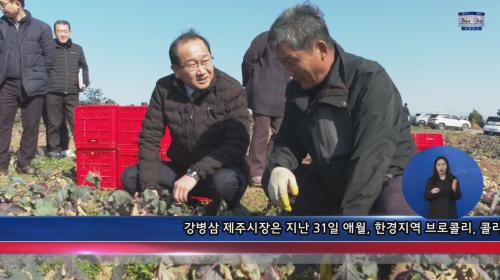 서부지역 농작물 언 피해 현장 점검