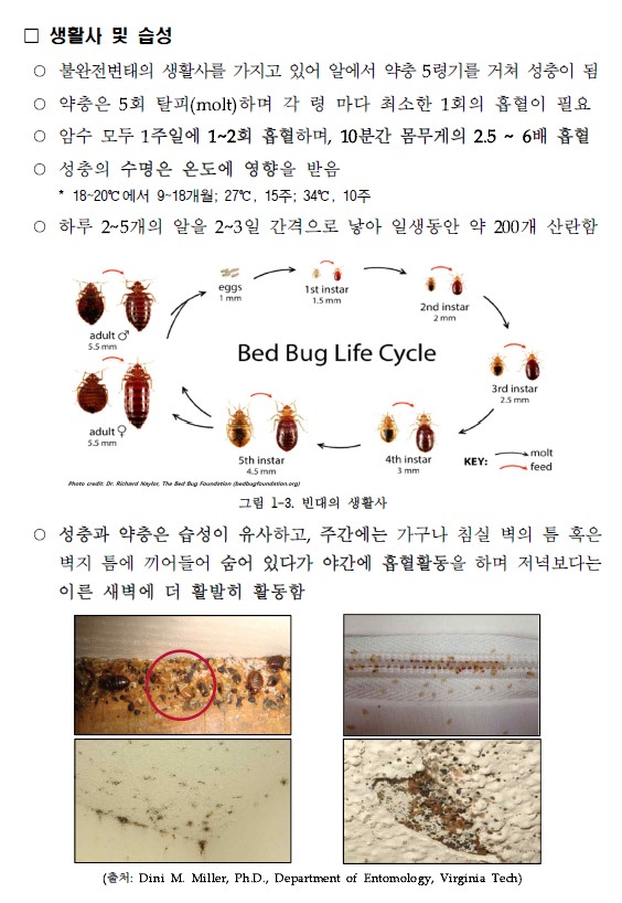 빈대 특징, 발견, 방제 방법 첨부이미지