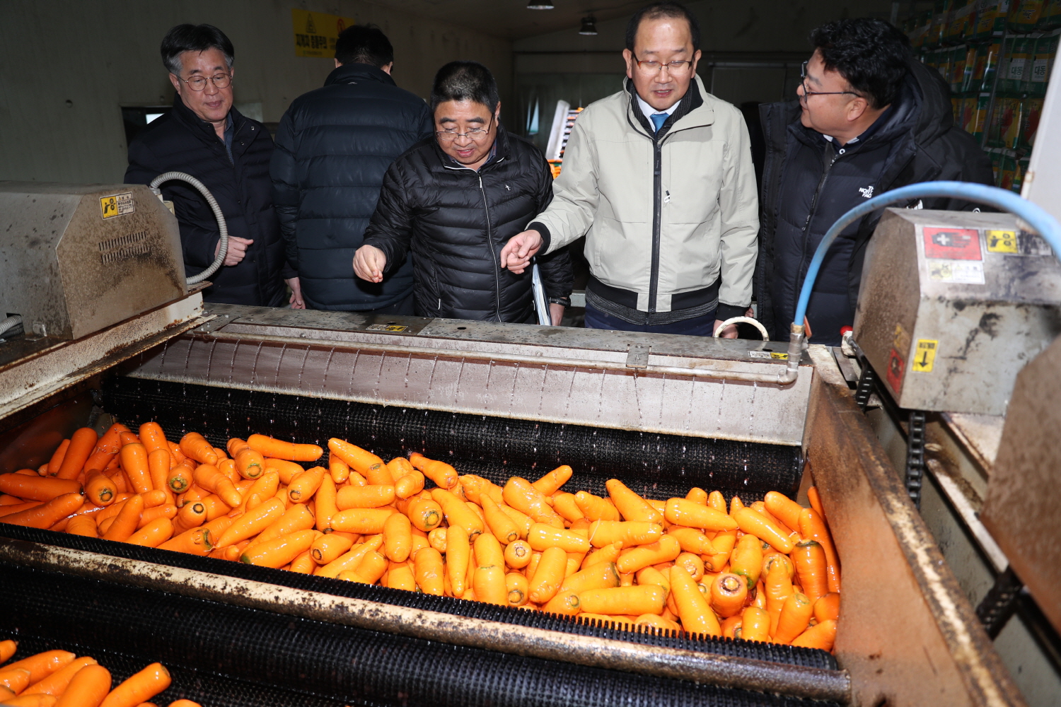 _당근수확 농가 및 구좌농협 산지유통시설 현장방문 (8).jpg