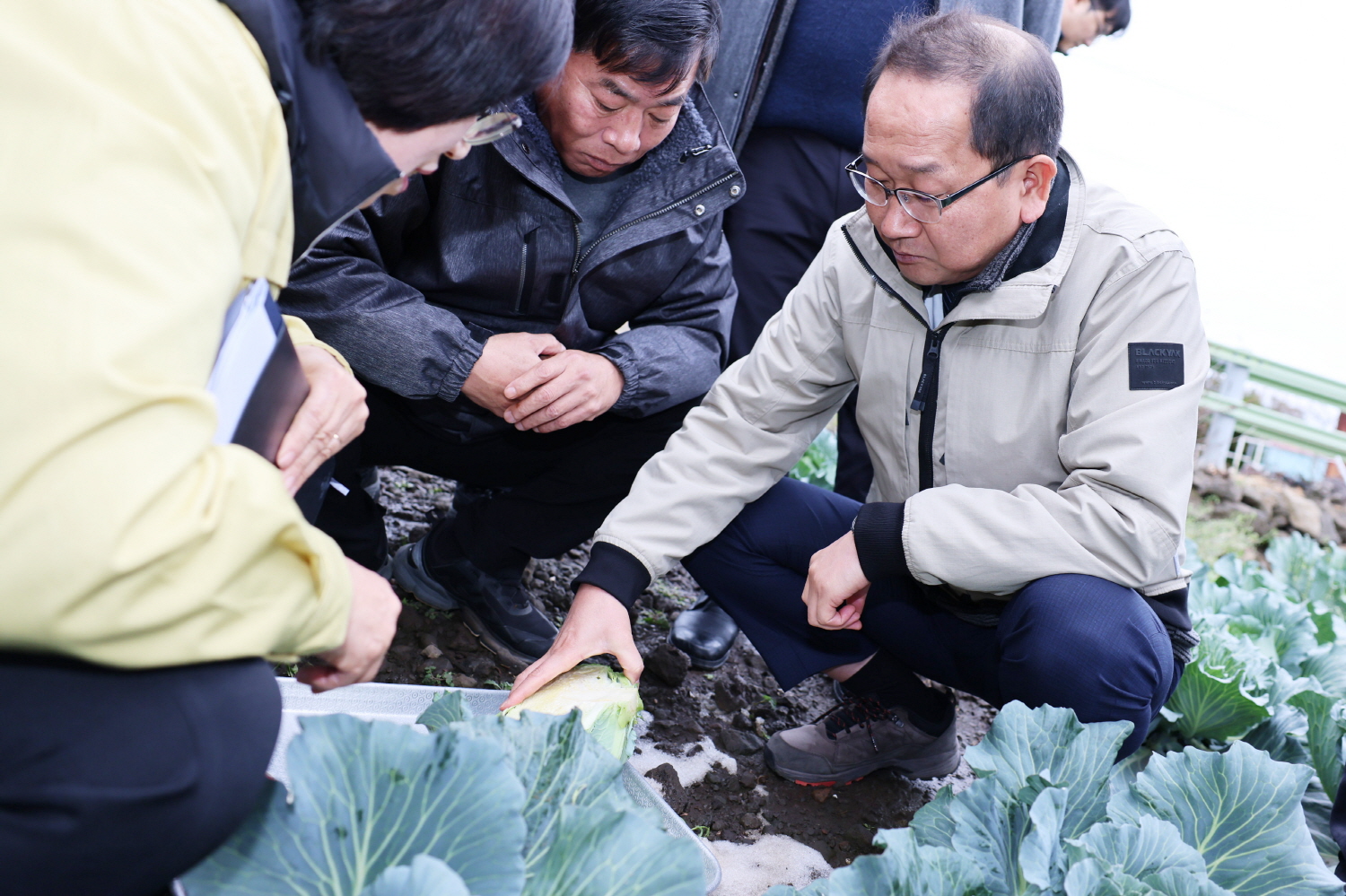 _강병삼 제주시장, 대설·한파에 따른 농작물 생육상황 점검 (3).JPG