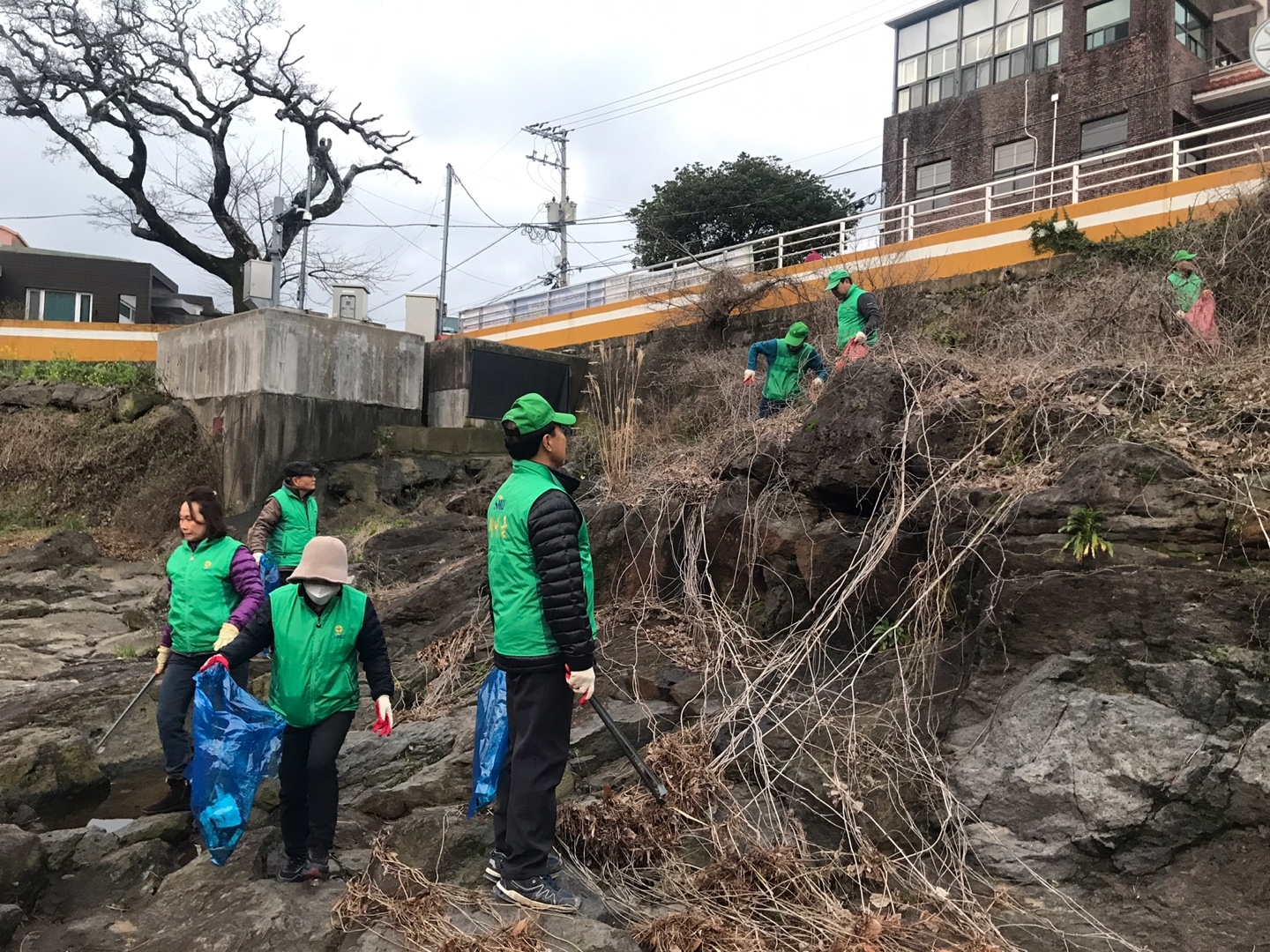 새마을지도자오라동협의회·오라동새마을부녀회, 관내 하천 정화 활동 실시 첨부이미지