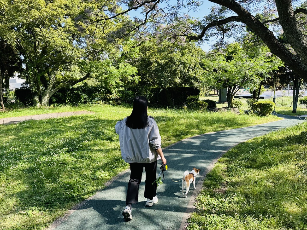 (5.23.공원녹지과) 제주시， 성숙한 반려동물 문화 위해 펫티켓 홍보 강화! (1).jpg