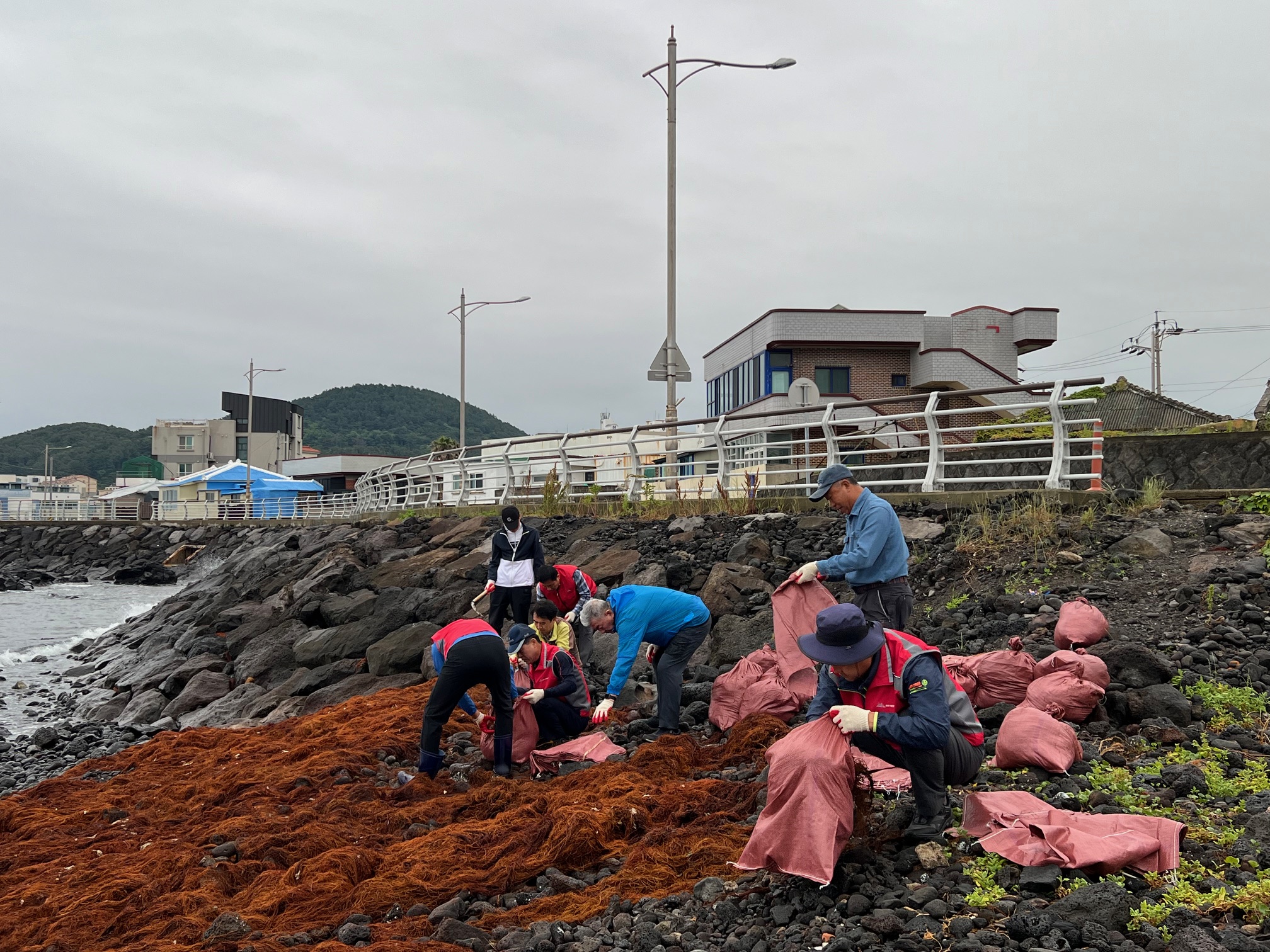 삼양동통장협의회, 해안변 환경정화활동 전개 첨부이미지