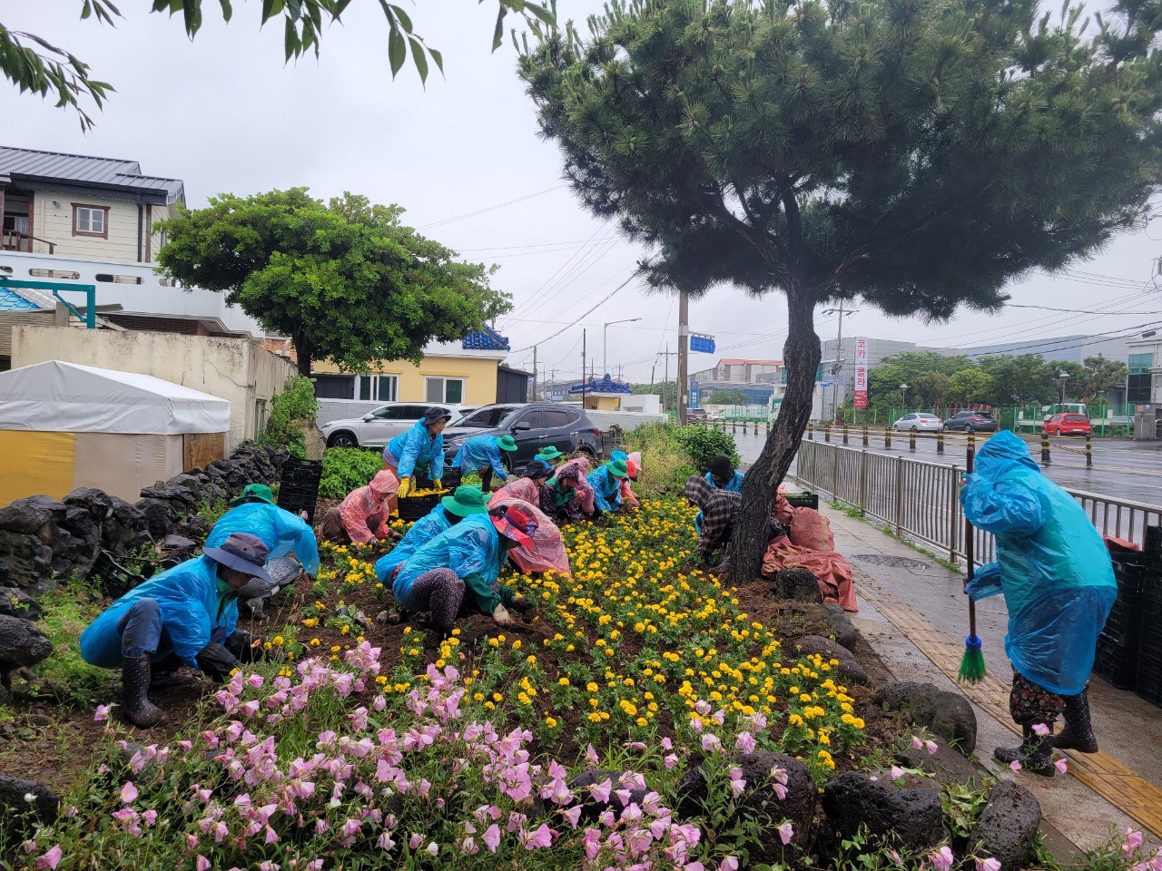 외도동새마을부녀회, 사계절 꽃피는 거리 조성에 구슬땀 첨부이미지