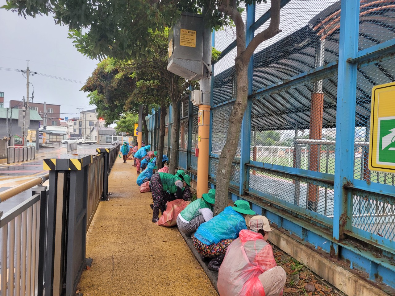 외도동새마을부녀회, 사계절 꽃피는 거리 조성에 구슬땀 첨부이미지