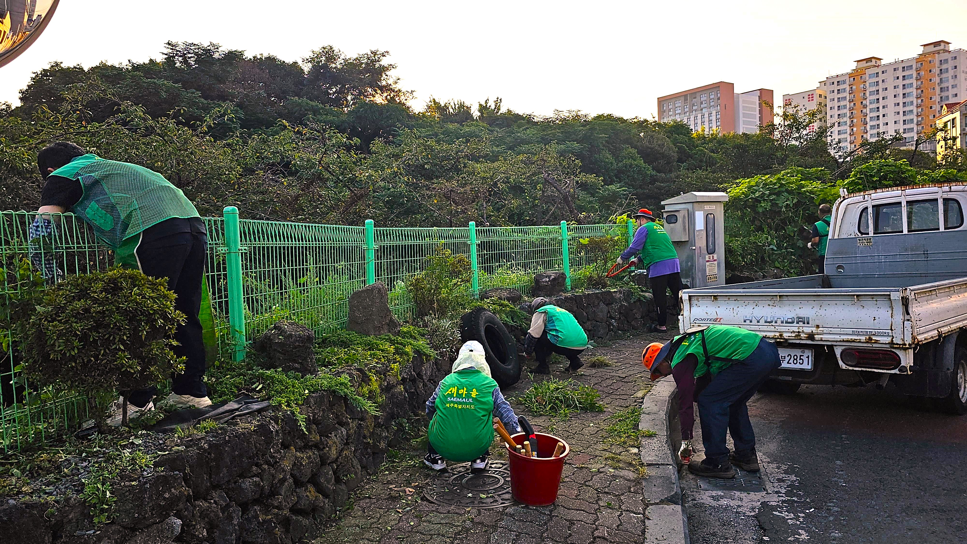 이도1동새마을문고, 하천변 덩굴제거 및 환경정비 추진 첨부이미지