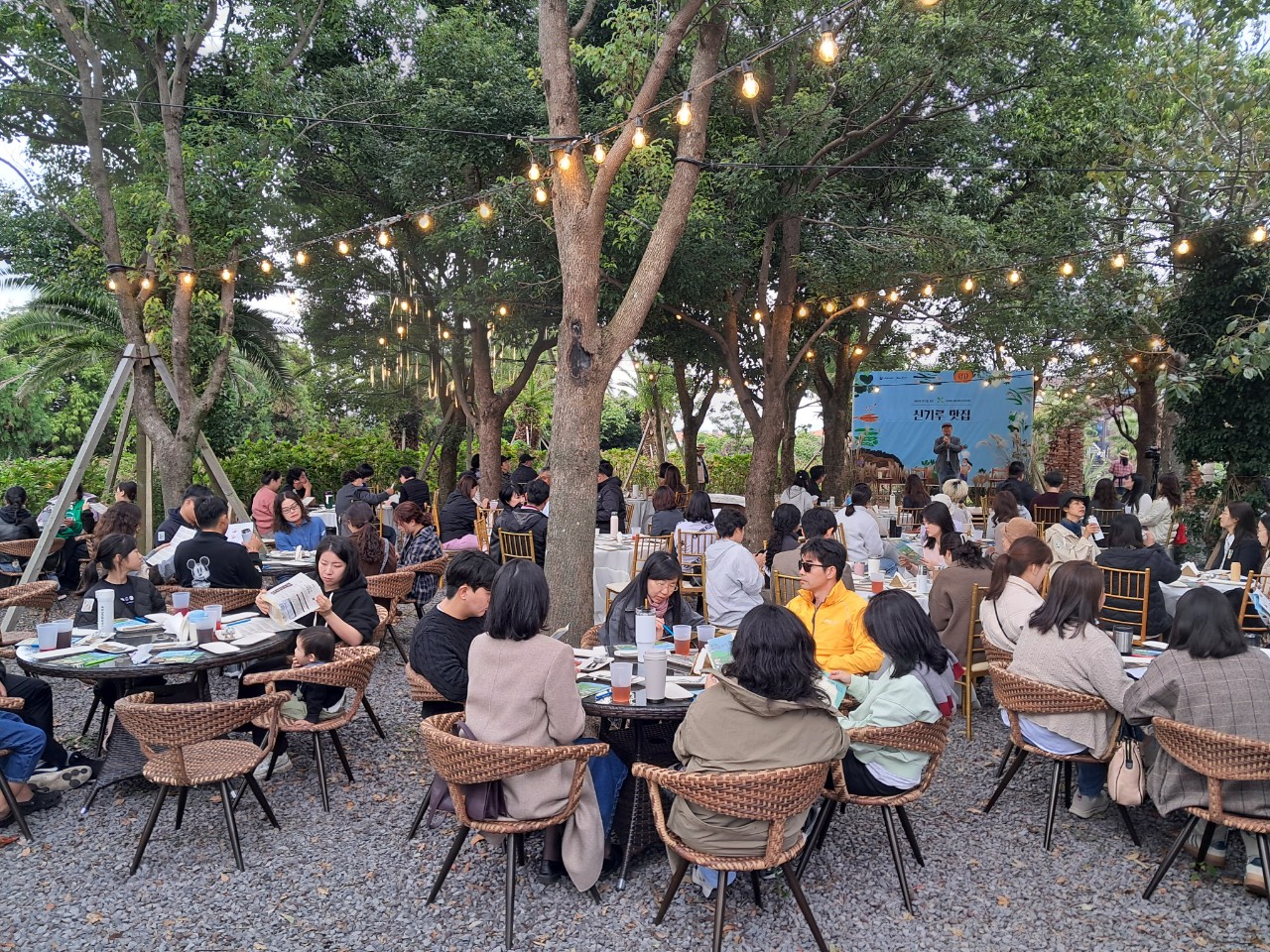 (11.12.마을활력과)  제주 밭작물이 식탁 위 주인공...「신기루 맛집」성료 1.jpg