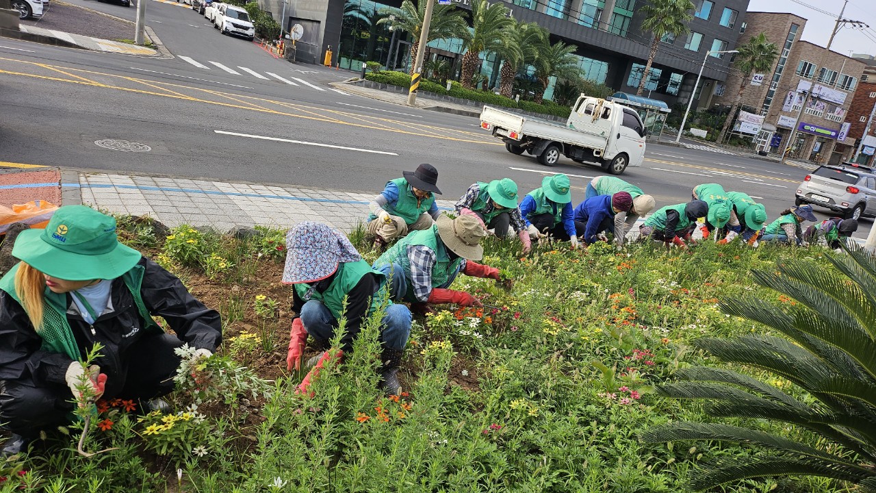 외도동새마을부녀회, 사계절 꽃피는 거리 조성 첨부이미지