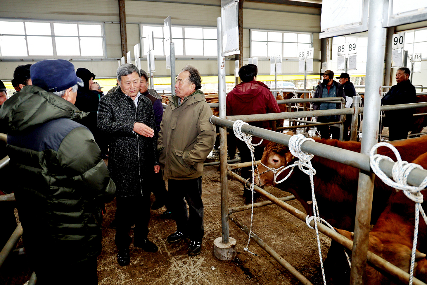 한우 가축시장 방문 첨부이미지