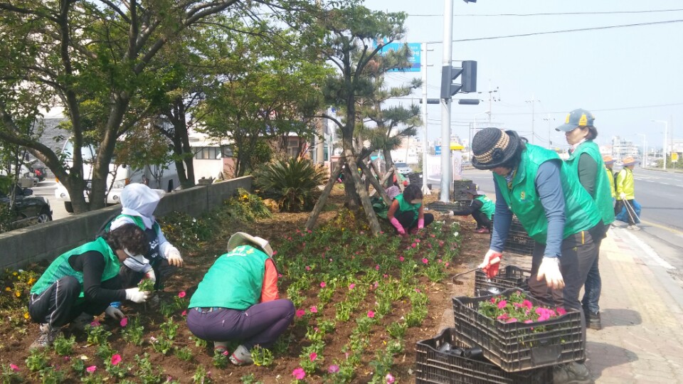 외도동 새마을부녀회 일주도로변 꽃길조성 사업 실시 첨부이미지